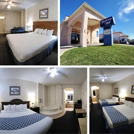 The Flamingo - South Padre Island Hotel